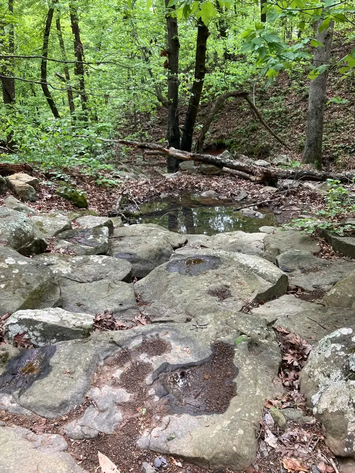 Small pool of water in some large rocks