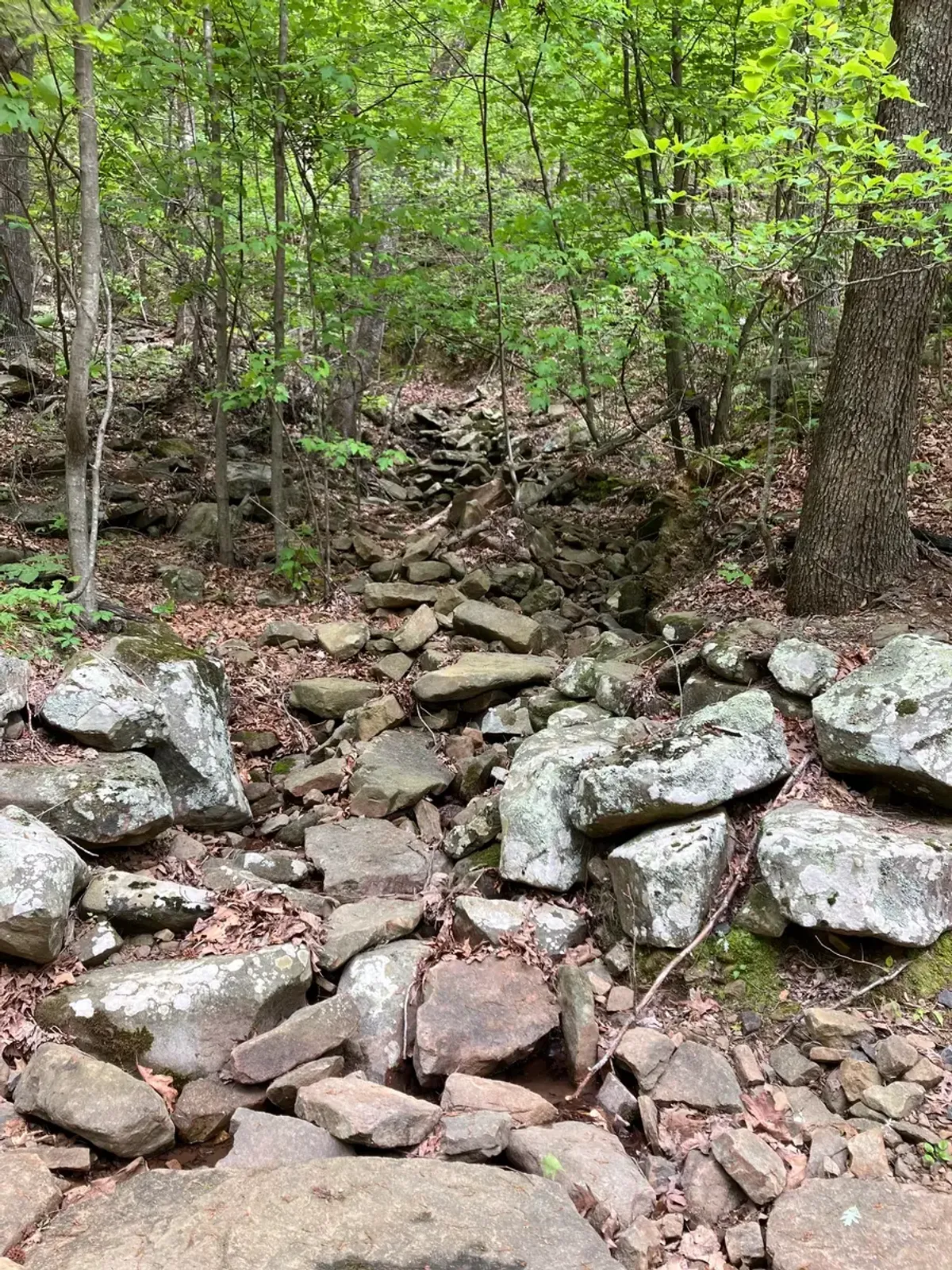 Rock filled drainage area