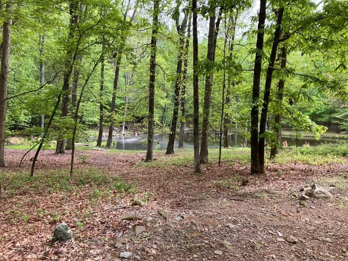 View of the pond found on the bench trail