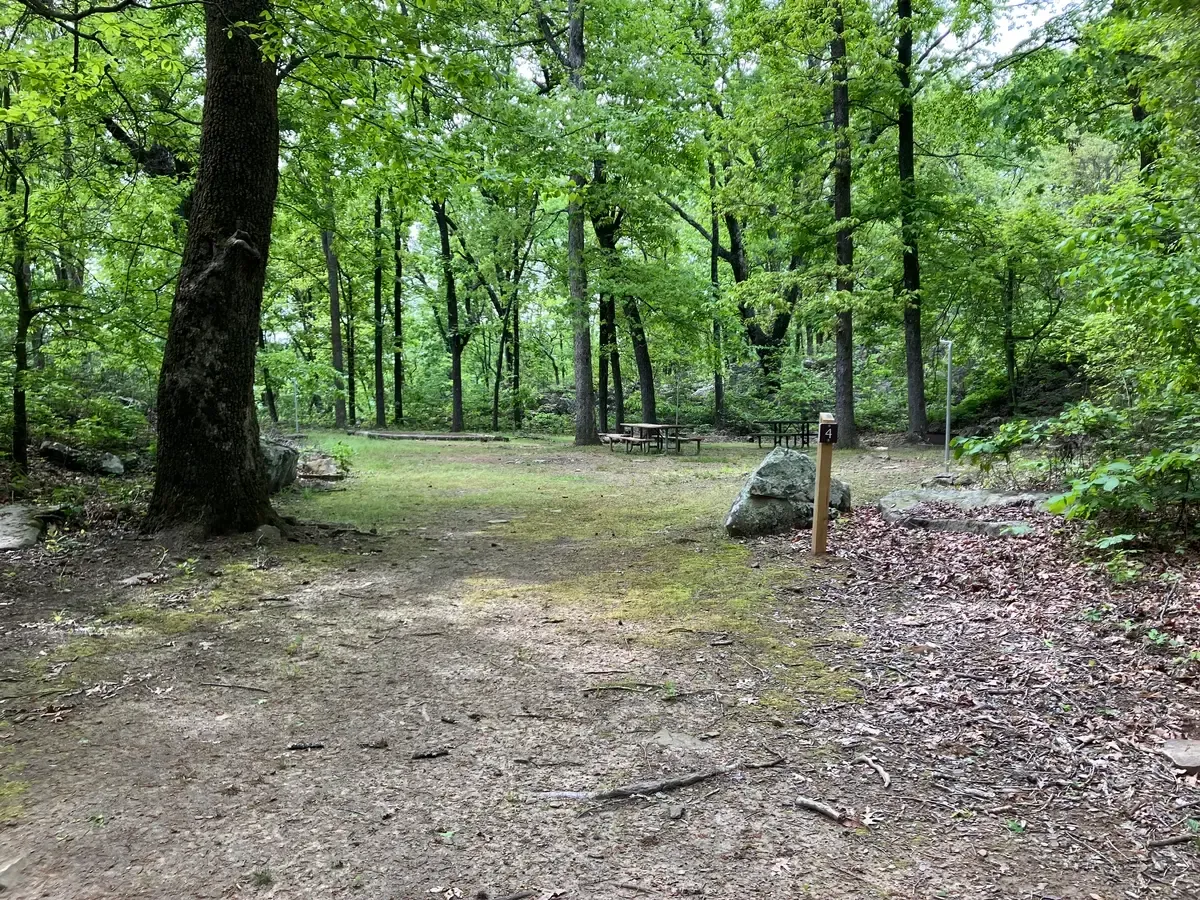 There are several camping sites that can be found on the Bench Trail